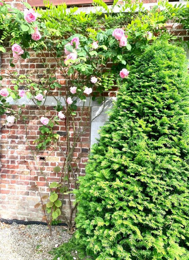 Studio - Tour D'Heloise - 10' De Bruxelles 拉许尔普 外观 照片